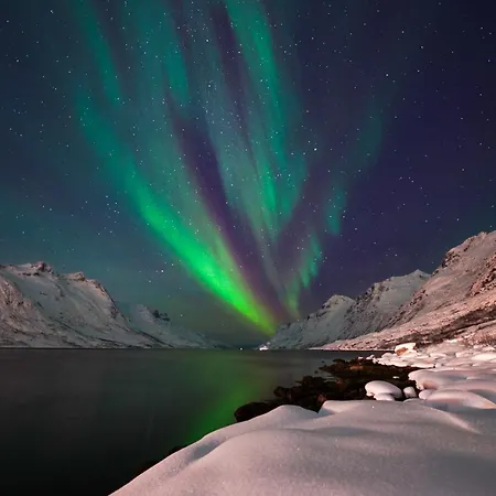 Northern Lights Retreat In Ersfjordbotn Tromsø