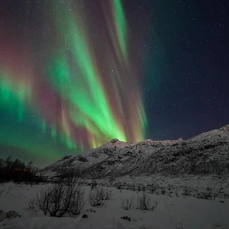 Northern Lights Retreat In Ersfjordbotn Tromsø
