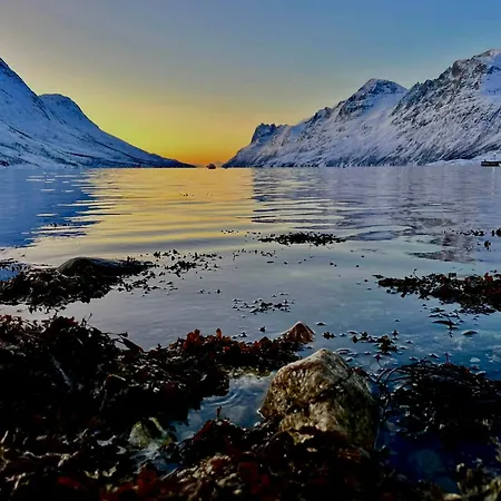 Apartman Northern Lights Retreat In Ersfjordbotn *